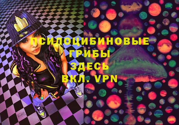 стафф Осинники