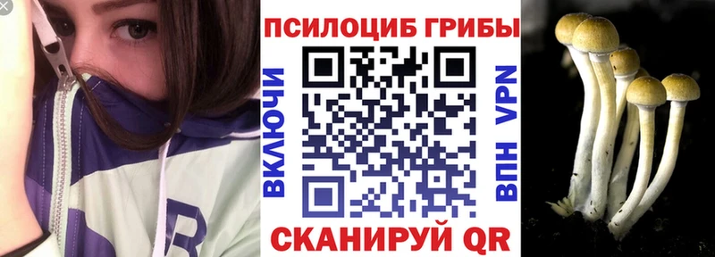 мега как зайти  Карасук  Галлюциногенные грибы GOLDEN TEACHER 